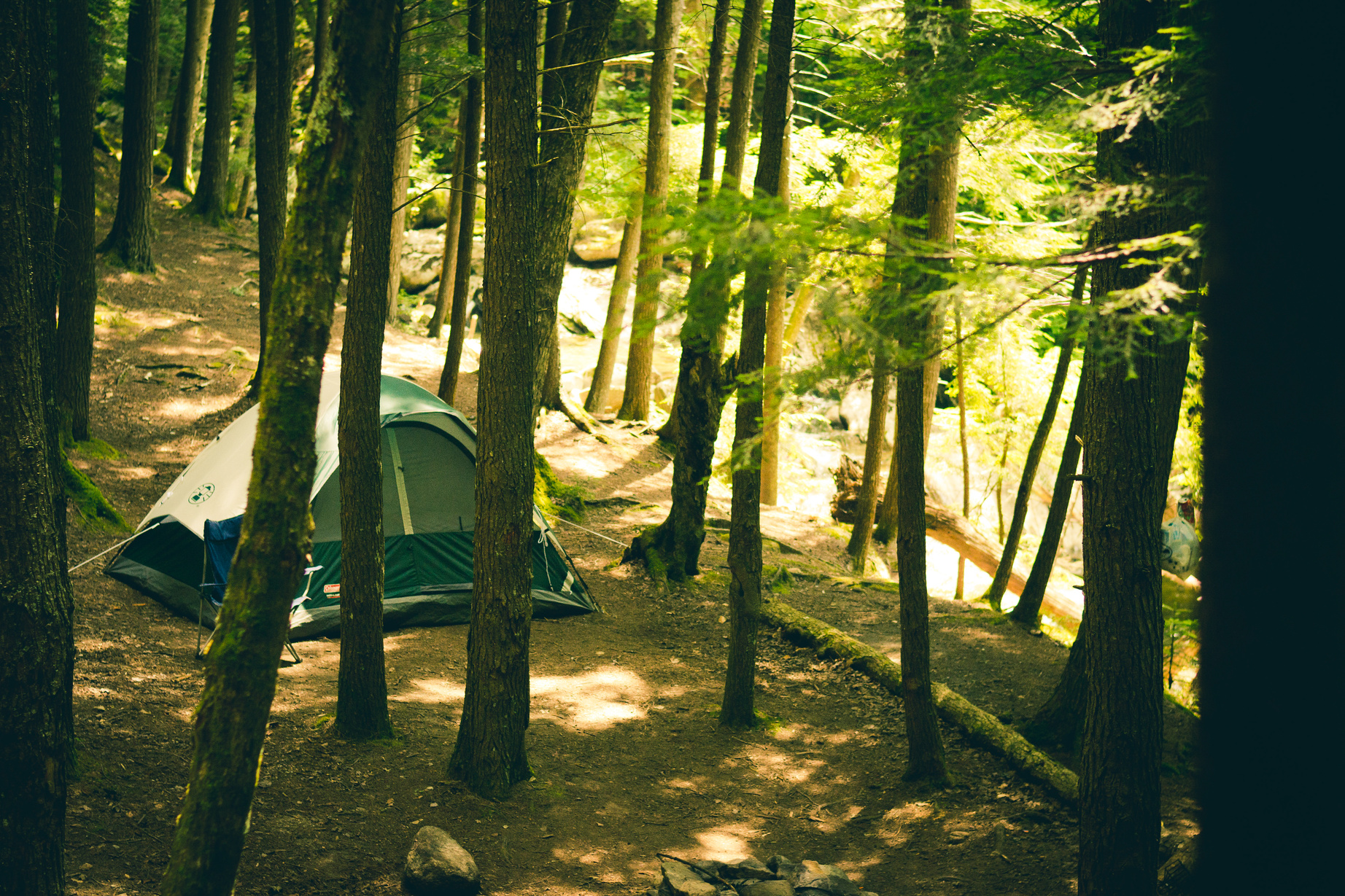 Gray Dome Tent Surrounded by Tall Trees