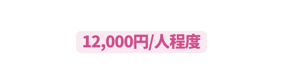 12 000円 人程度