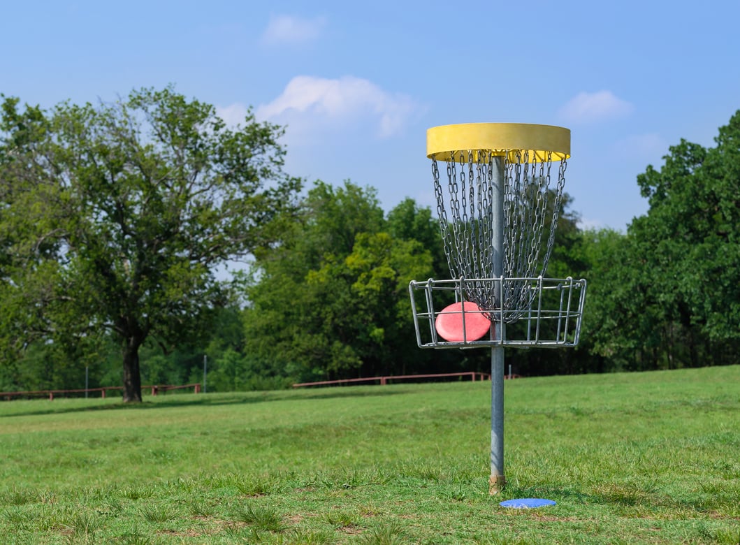 Disc golf basket